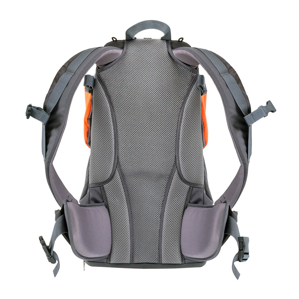 EverBaby – wózki phil&teds, JOOLZ, mountain buggy