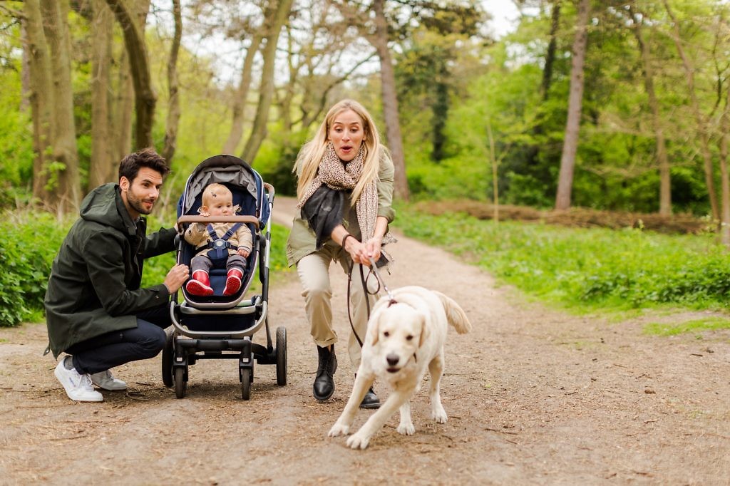 EverBaby – wózki phil&teds, JOOLZ, mountain buggy